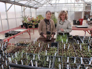 The late Leslie Jackson, teacher and plantophile extraordinaire, with Jennifer Rowlen of the USFWS with sprouts for the Native Pollinator Garden in the greenhouse at Columbia High School, White Salmon, WA